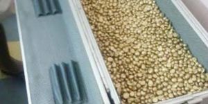 96.99% gold  nuggets available  at  afordable  prices  and  procedure