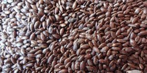 Organic & Roasted Flax Seeds (Linseed)