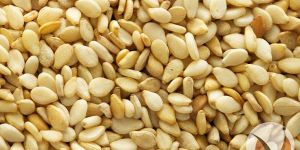 Organic & Roasted Sesame Seed (Til Seeds)
