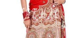 Designer Lehenga Choli