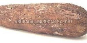 Fresh Cassava Root